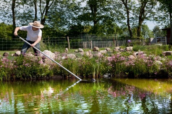 5 Reasons to Hire Pond Cleaning Professionals Near Me