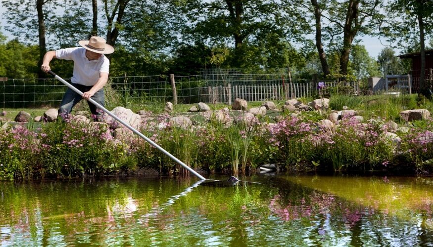 Pond Cleaning