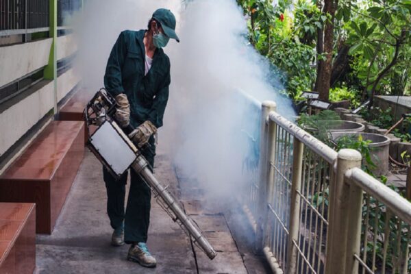 Innovative and Effective Professional Termite Control Strategies