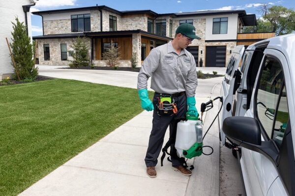 Colorado Springs Pest Trends: Learn About Species, Signs, & More