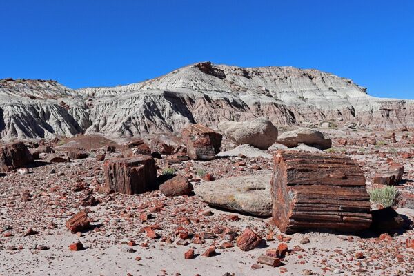 Can a Fence Really Reduce Neighborhood Noise in Boise?